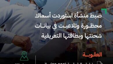 فغ 6602e6a87ca1b