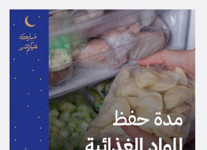 فقققققققققق