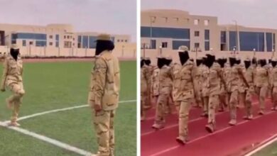فققققققققق 6631313e20ca7