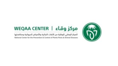 وقاء يعلن بدء حملة تحصين المواشي ضد مرض الحمى القلاعية