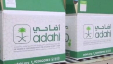 أضاحي 66635c410ce7e
