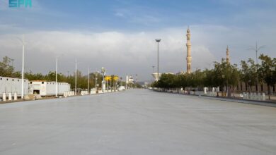 ةىىةىةىة