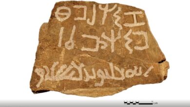 فغفغفغفغفغفغفغ 667c3b6792459