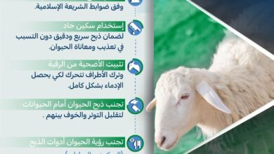 هععععععععع
