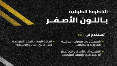 مدلولات الوان الطرق