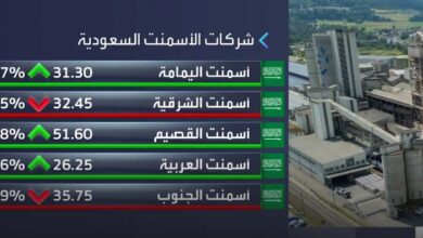 Capture 11