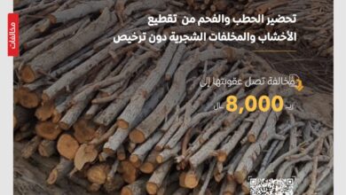 الحطب والفحم 01�