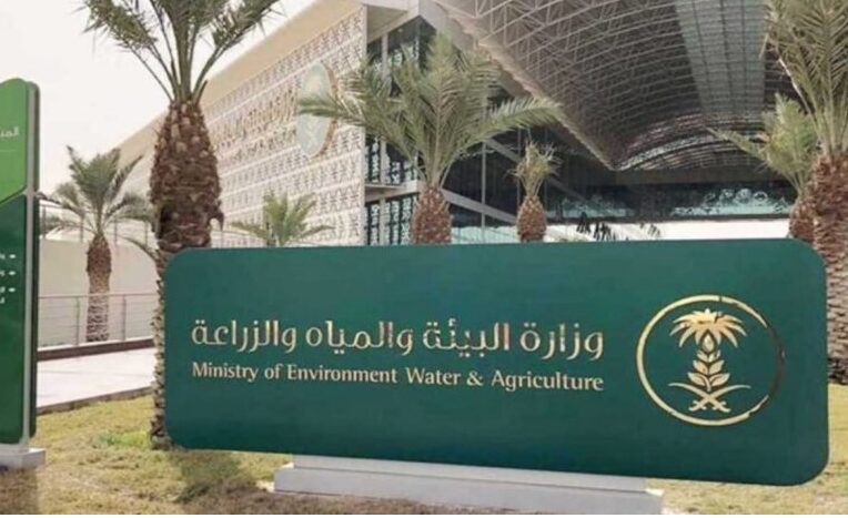 الزراعة