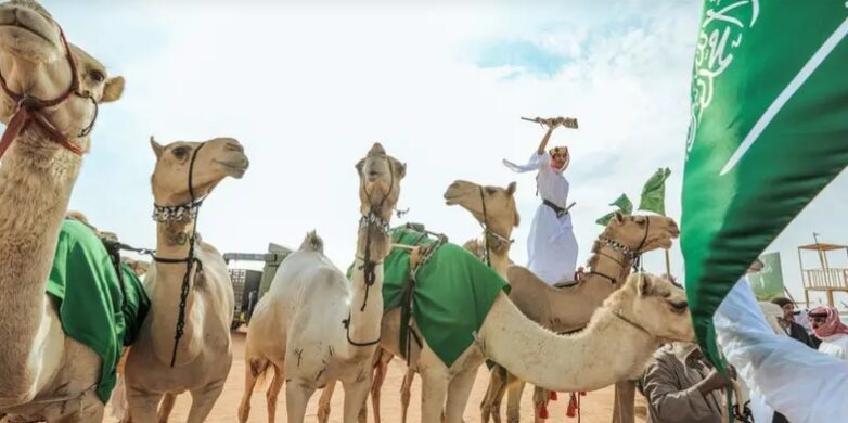 انطلاق مهرجان ولي العهد للهجن في الطائف غدًا 1 هجنن 66b69aeb18105