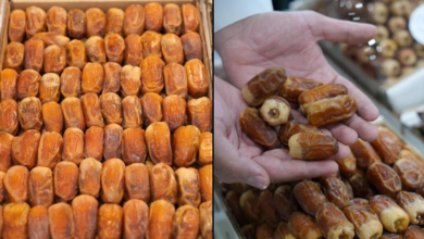 صضضصضص
