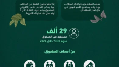 صندوق النفقة