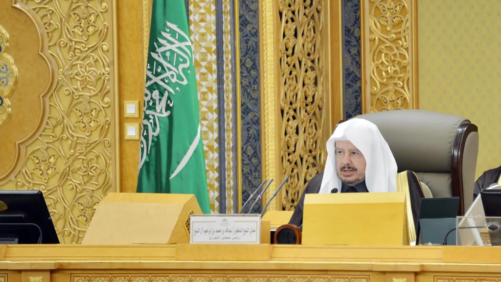 "الشورى" يطالب وزارة السياحة بدراسة أسباب تدني التوطين 1 WhatsApp Image 2024 12 02 at 18.28.38 2daf5931