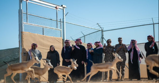 حخغععغ
