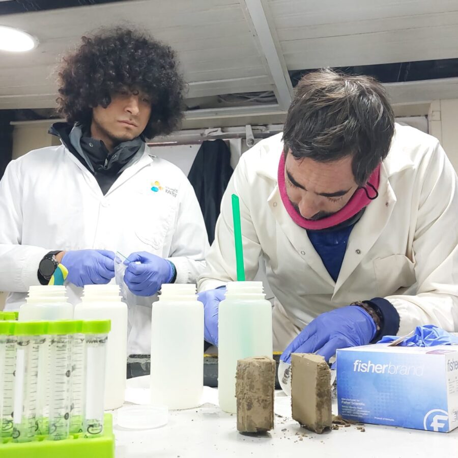 kaust 2people antarctica whales carbon capture