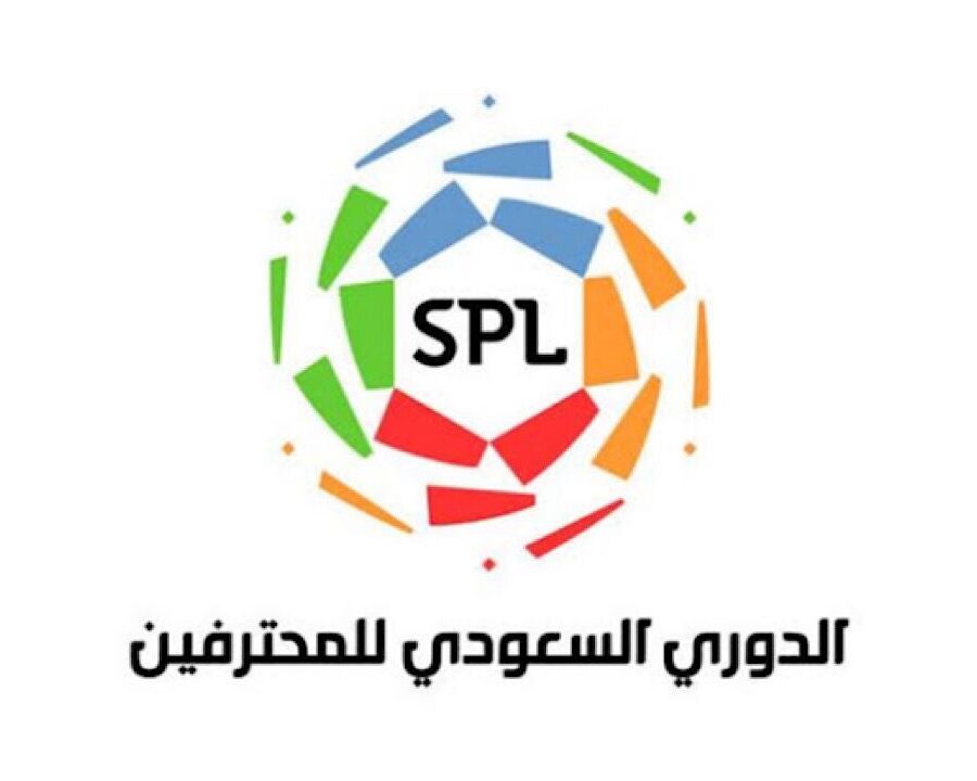 دوري المحترفين