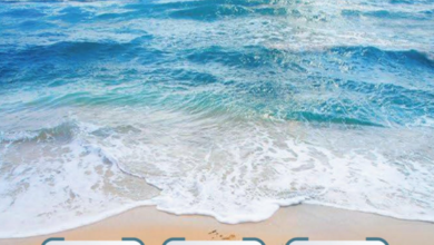 Screenshot 2025 04 04 223825