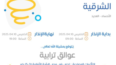 Screenshot 2025 04 10 002122