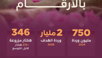Screenshot 2025 04 21 170031