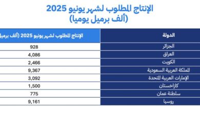 Screenshot 2025 05 03 224151
