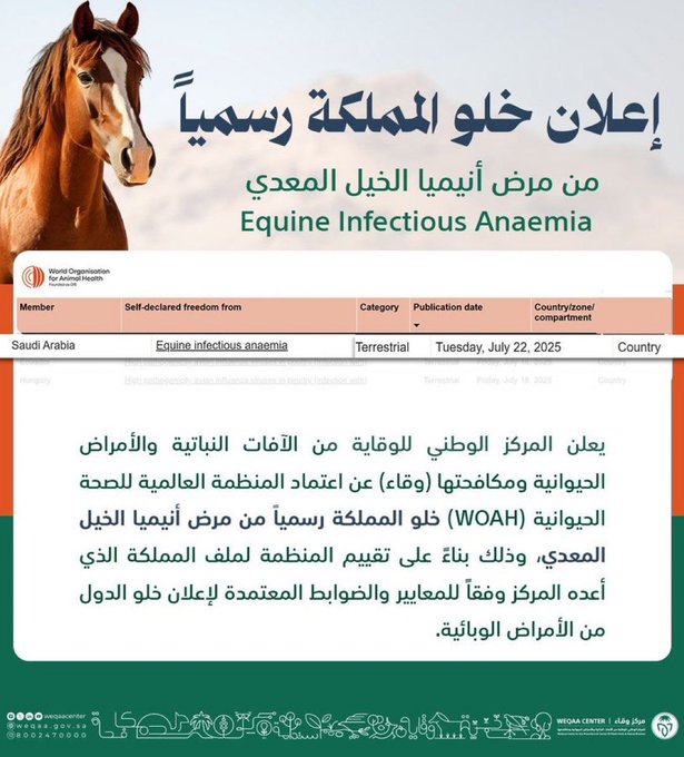 Gw2 HFDWcAADhcd
