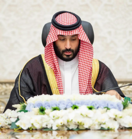 مجلس الوزراء: التنديد بقرار إسرائيل احتلال غزة وتجويعها.. وتعديل بنظام المحاماة 1 Screenshot 2025 08 12 140533