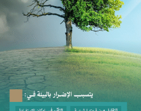 Screenshot 2025 08 12 214326