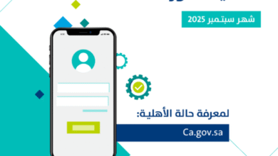 Screenshot 2025 08 26 233718