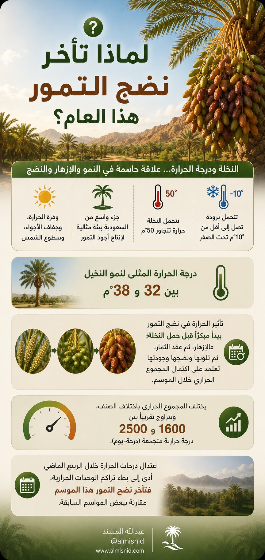 المسند يكشف أسباب تأخر نضج التمور هذا الموسم 1 HNVZ8mbWkAALnuf