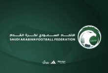 saffnewsItopH1784202006