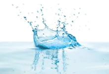 shutterstock 1535135813