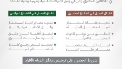 HP7mhQWXQAAEOL