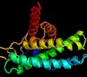 Protein 125x110 1