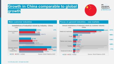 Graph growth customer industries China vs global 2025