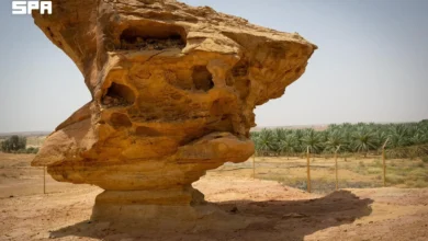 صخرةٌ في القصيم بقصة عنترة وعبلة